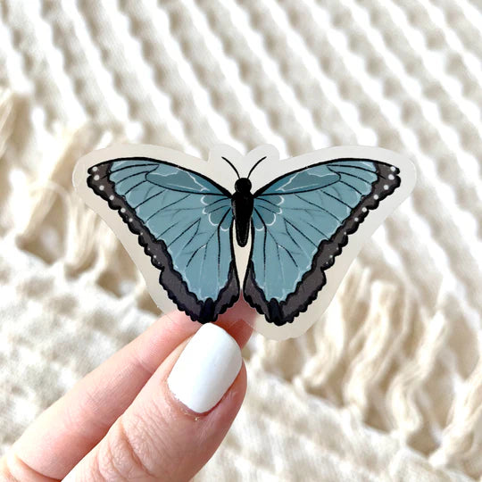 Blue Morpho