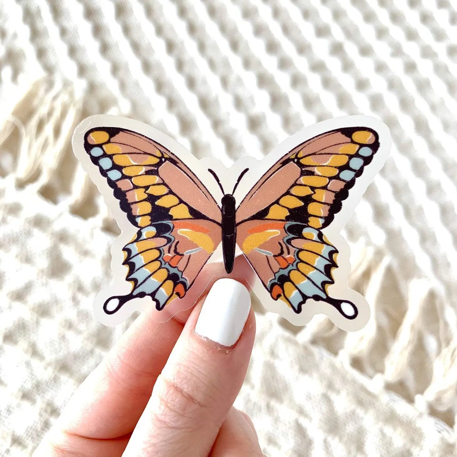 Pink Swallowtail Butterfly