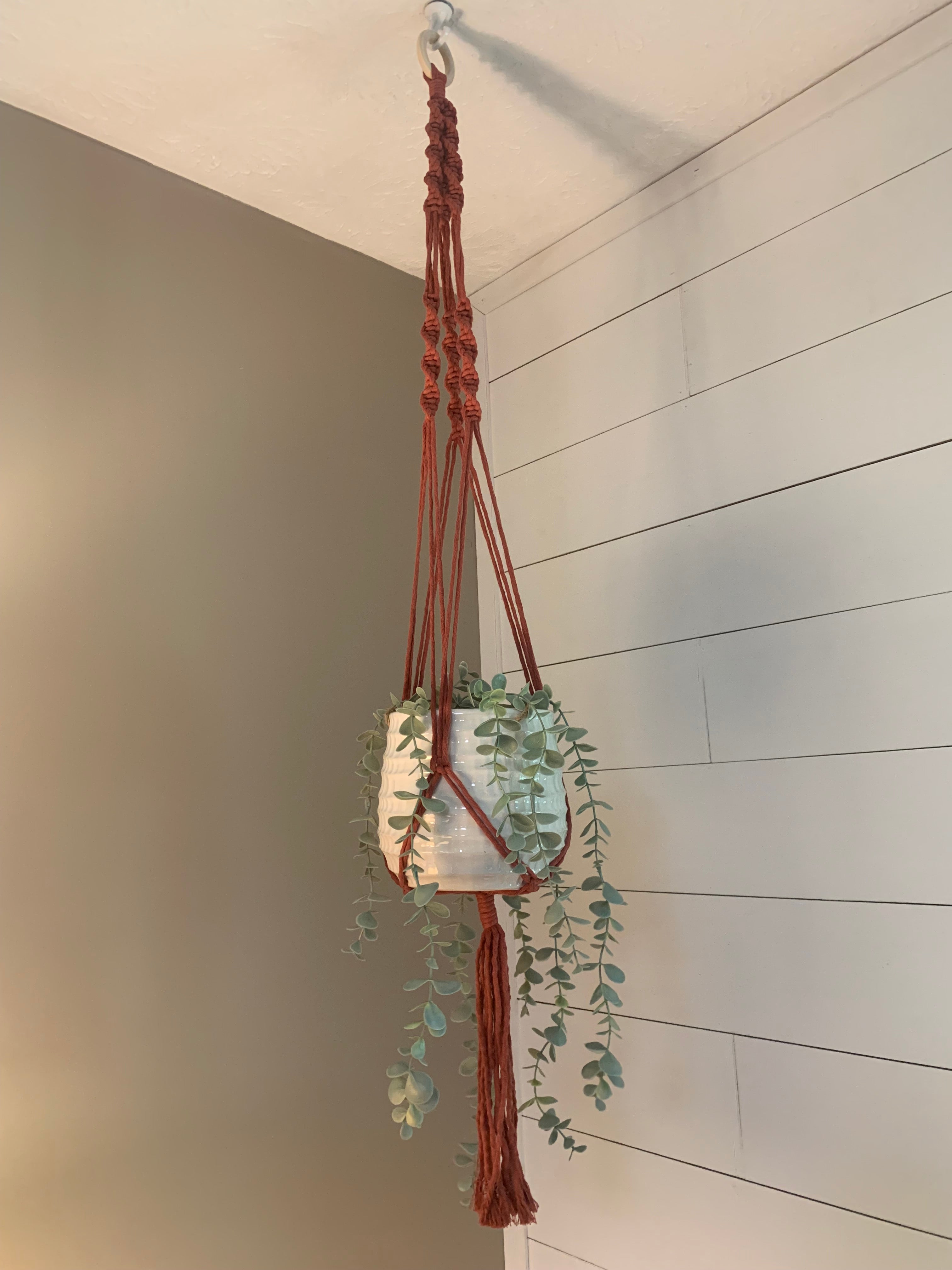 Macrame Plant Hanger (5 Colors)