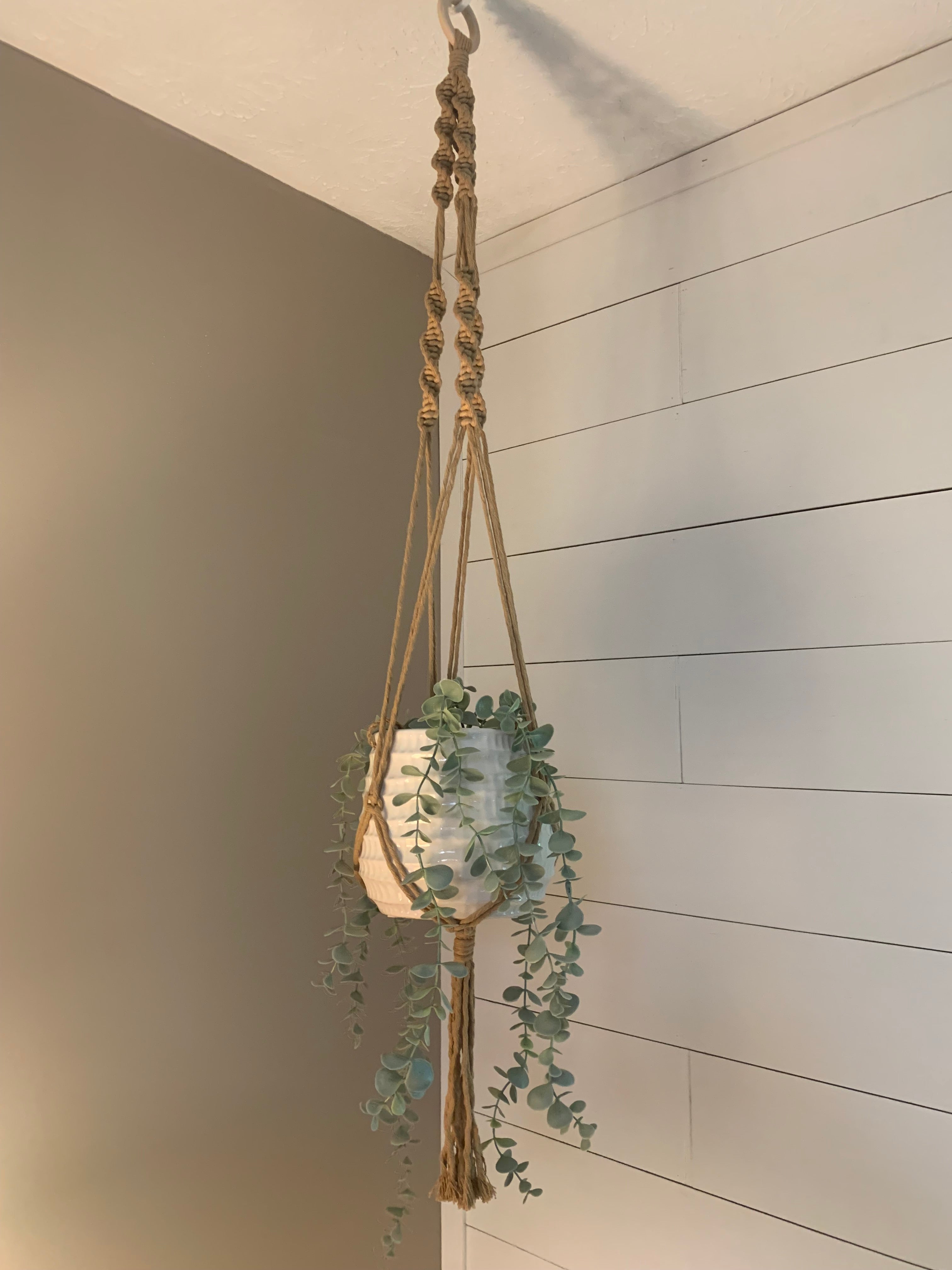 Macrame Plant Hanger (5 Colors)