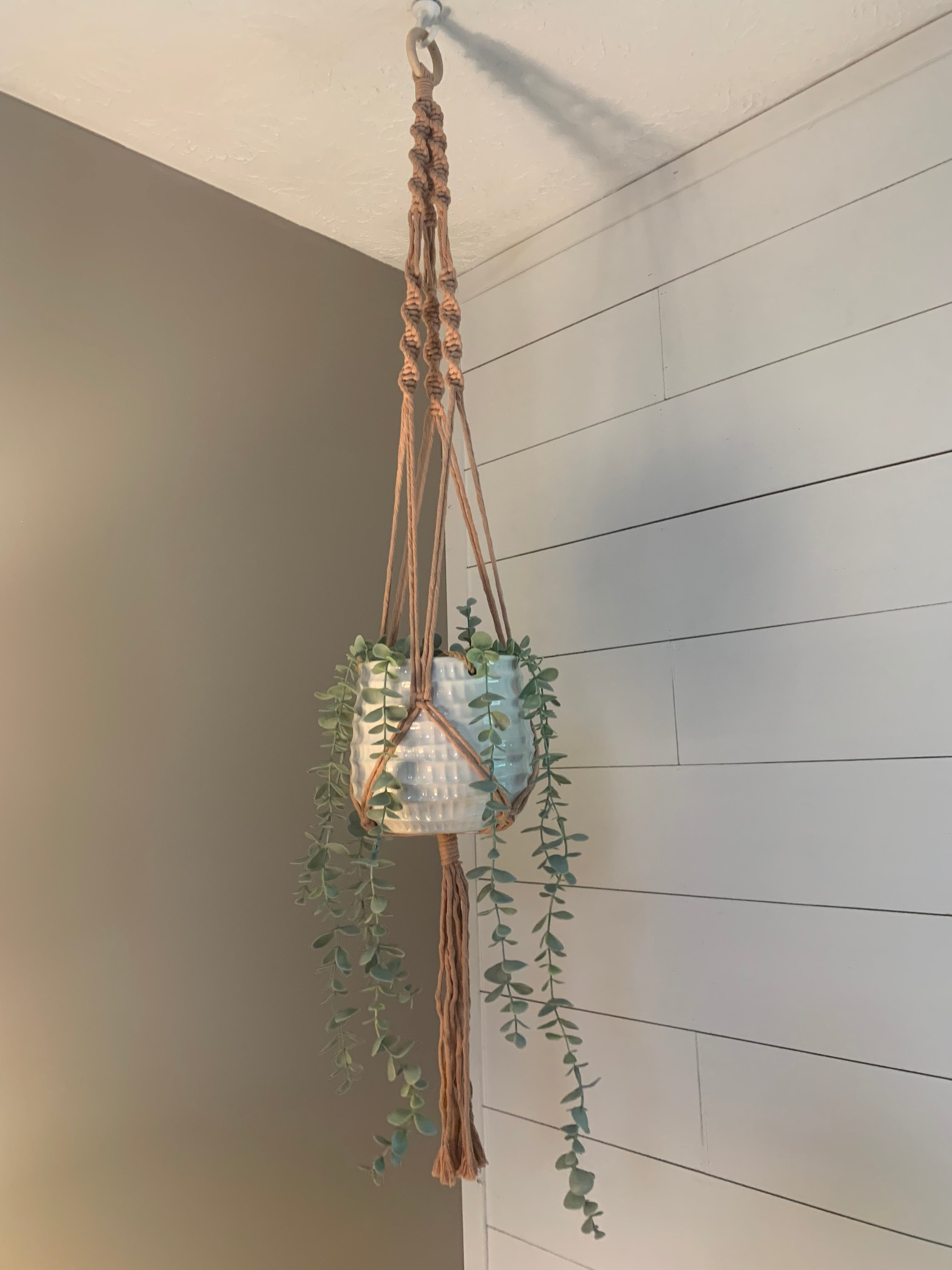 Macrame Plant Hanger (5 Colors)