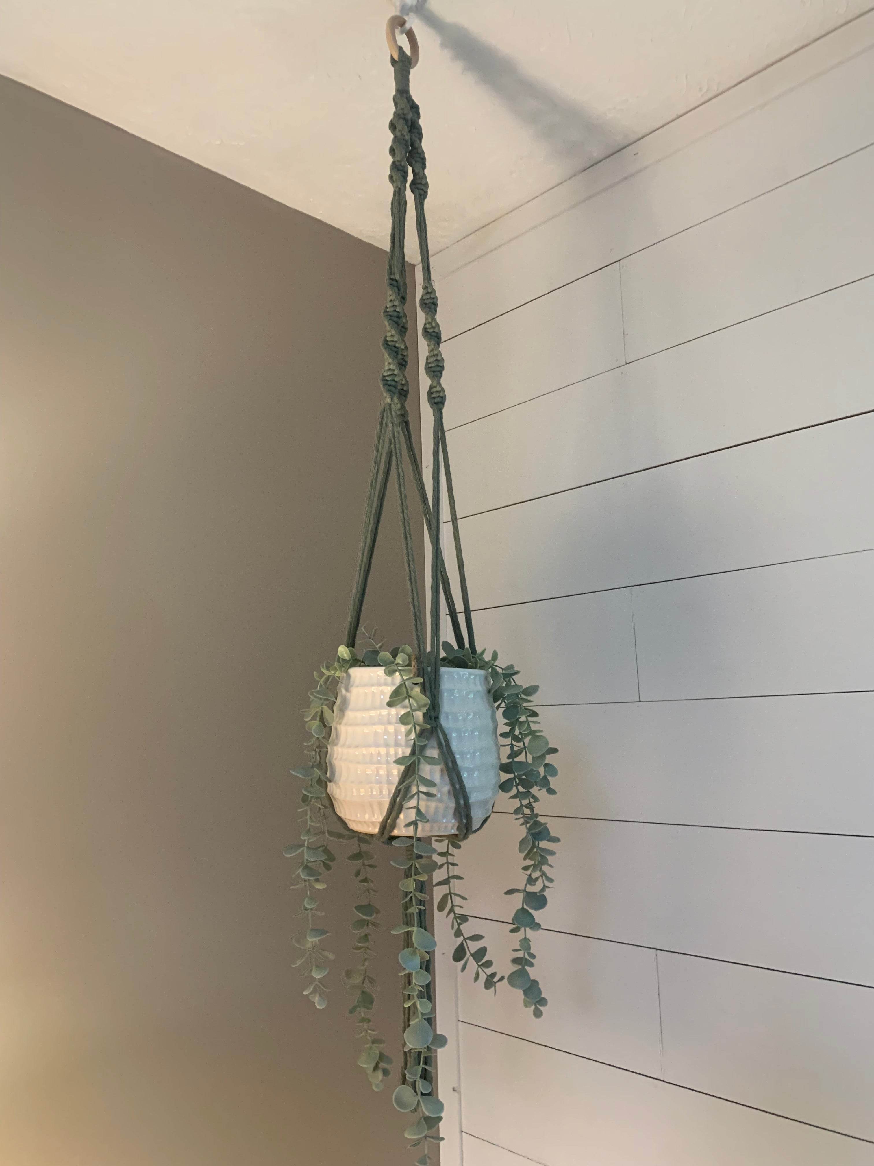 Macrame Plant Hanger (5 Colors)