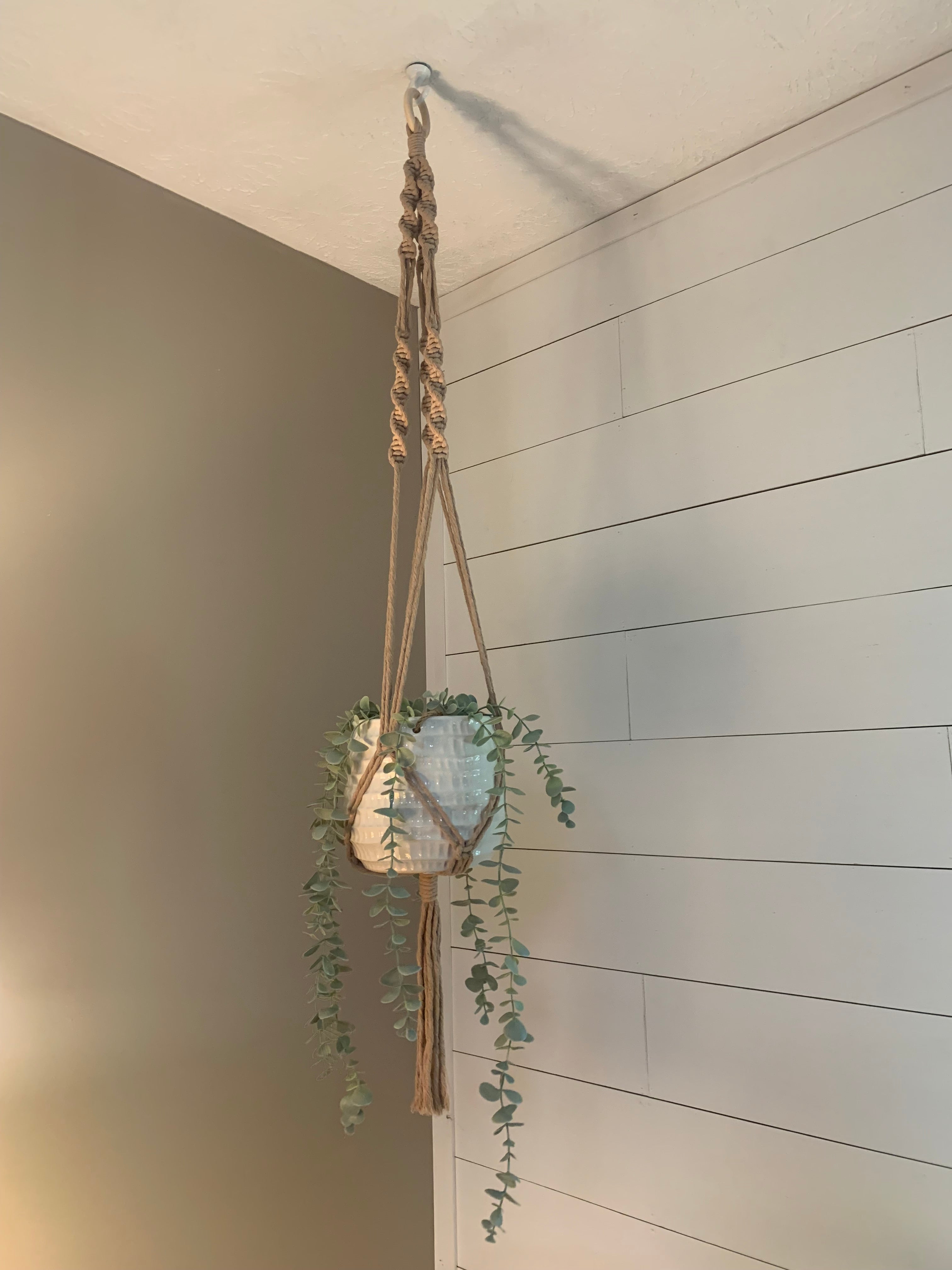 Macrame Plant Hanger (5 Colors)